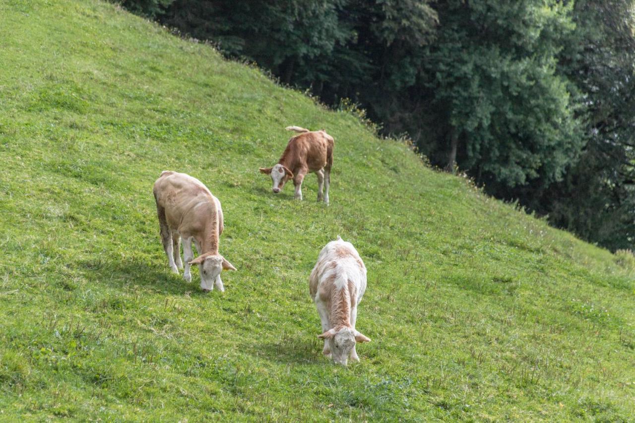 Ferienwohnung Oberrisstraum Schliersee Exteriér fotografie